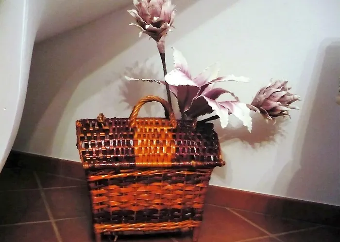 Casas Do Couratao *